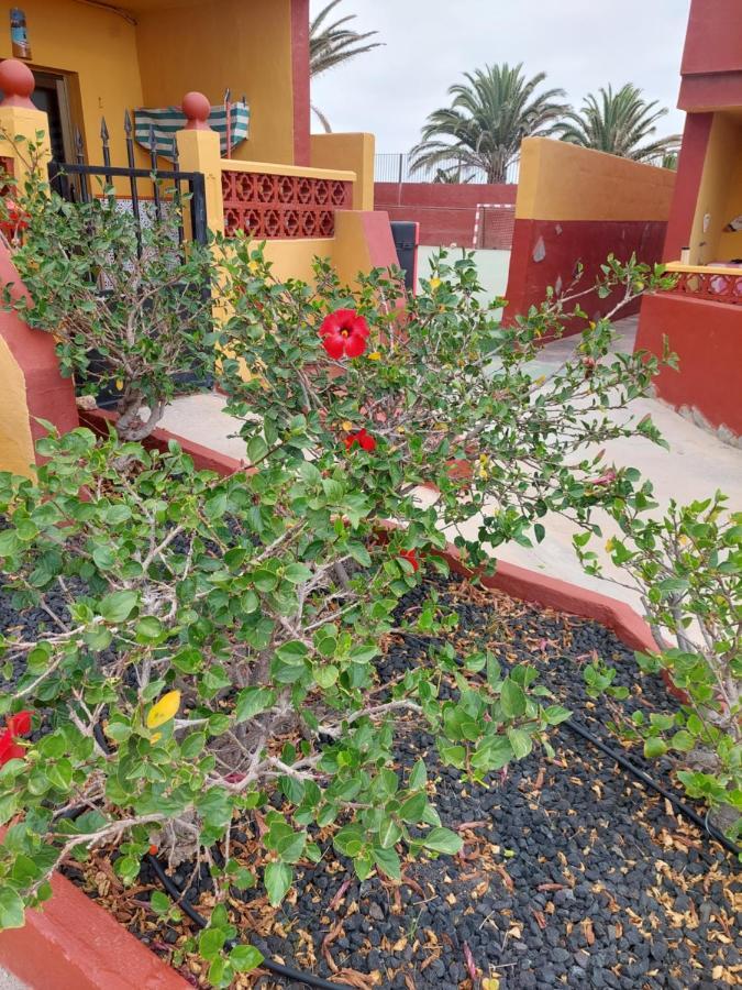 شقة La Paloma Buena Esperanza كوستا دي أنتيجوا المظهر الخارجي الصورة